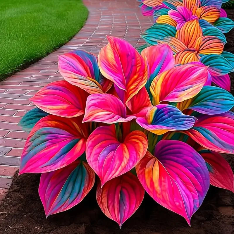 /69c0f62588fd21000995286d/2026/04/14/product-img-69ddedeff707c0639afa4784.png